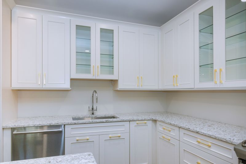 Glass Cabinets Installation in Carmel, IN